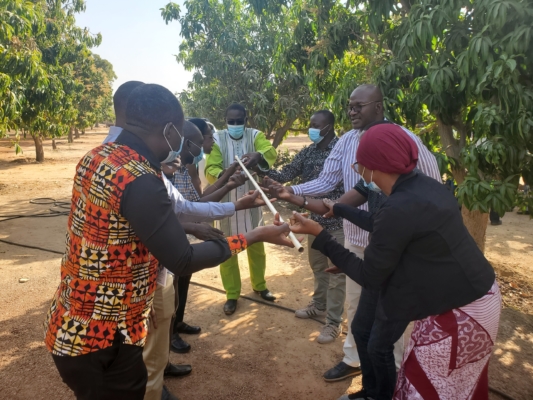 Ocho personas en un huerto frutal tratan de coordinarse entre sí para levantar un poste de 2 metros usando tan solo un dedo por persona. ¡Es más fácil en la teoría que en la práctica!