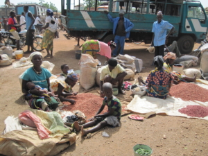 disaster-refugee-response-global-principles-and-practice